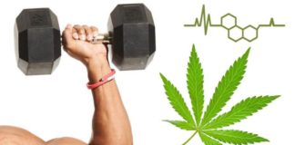 Poradíme vám, jak vybrat ten nejlepší CBD olej